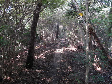 20131116hike (100)